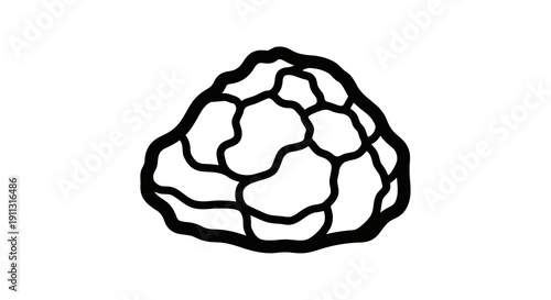 A simple black and white line drawing of a cauliflower on a plain background.