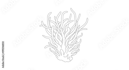 A simple black and white line drawing of a plant with long thin leaves