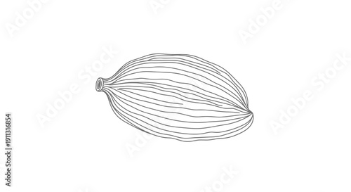 A simple black and white drawing of a cacao pod on a white background.