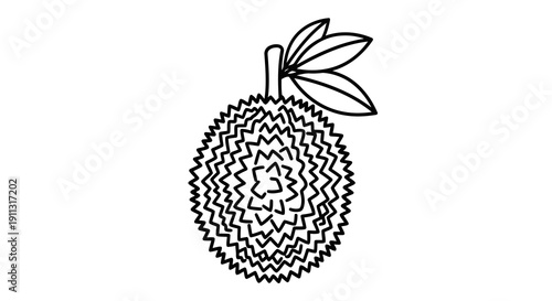 Detailed black and white illustration of a durian fruit with visible texture and leaves.