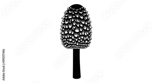A black makeup brush with synthetic bristles on a white background.
