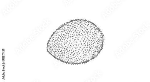 A simple black and white illustration of a dotted oval shape on a plain background.
