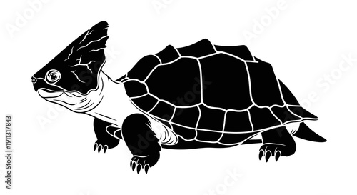A simple black and white illustration of a turtle with a prominent shell and sharp claws.