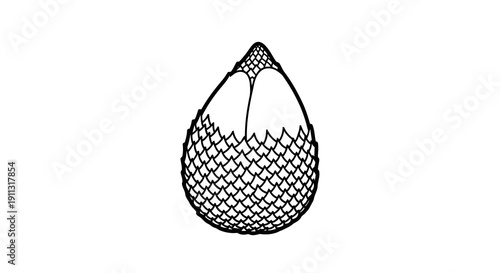 A simple black and white line drawing of a teardrop shape with a net pattern.