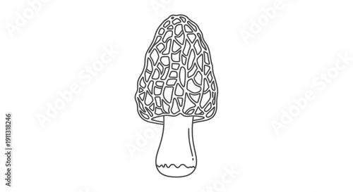 A simple line drawing of a morel mushroom with a honeycombed cap and a white stem.