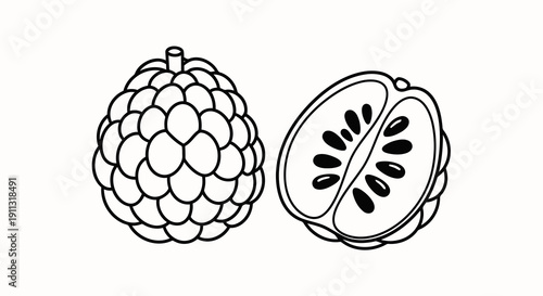 A simple drawing of a fruit and its cross section.