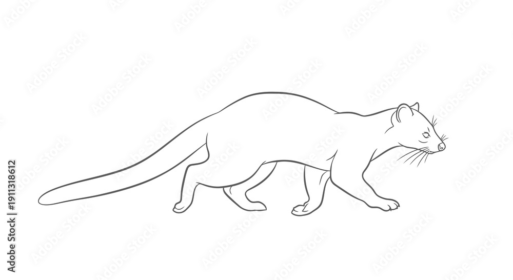 Fototapeta premium A simple line drawing of a cat walking to the right with its tail extended.