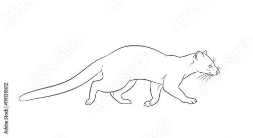 A simple line drawing of a cat walking to the right with its tail extended.