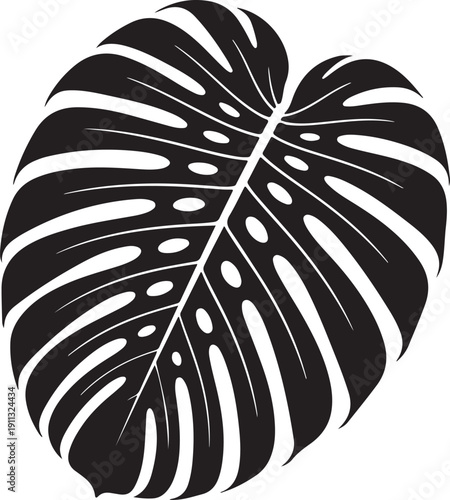 Tropical Leaf Silhouette – Palm / Monstera Vector Black on White