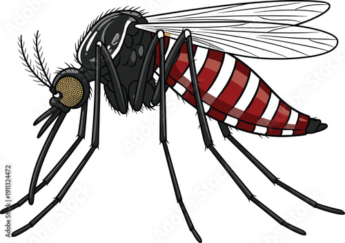 Detailed Mosquito Vector Illustration Isolated on White Background, Realistic Aedes Aegypti Insect, Disease Carrier Pest Graphic Design Element