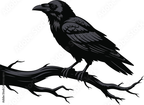 Raven on Branch Silhouette – Bird Vector Black on White