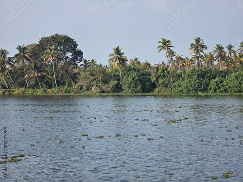 Spectacular view of the backwaters of Kerala,kumarakom, India. 