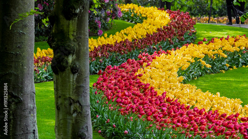 Canvas-taulu Keukenhof garden displaying colorful spring tulip flowerbeds