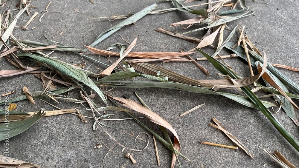Fototapeta premium Close-up of fallen bamboo leaves and twigs on a gray concrete surface