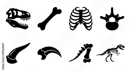 dinosaur bone , black vector icon set collection , white background , SVG and PNG