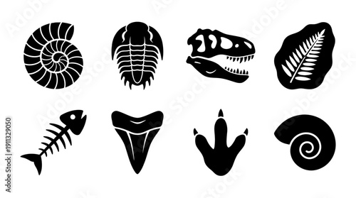 fossil , black vector icon set collection , white background , SVG and PNG