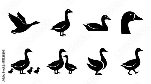 goose , black vector icon set collection , white background , SVG and PNG