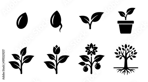 growth plant , black vector icon set collection , white background , SVG and PNG
