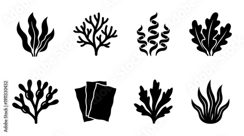 seaweed , black vector icon set collection , white background , SVG and PNG