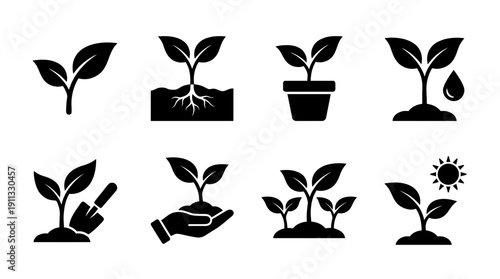 seedling , black vector icon set collection , white background , SVG and PNG