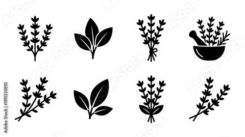 thyme , black vector icon set collection , white background , SVG and PNG