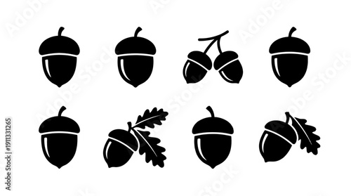 acorn , black vector icon set collection , white background , SVG and PNG