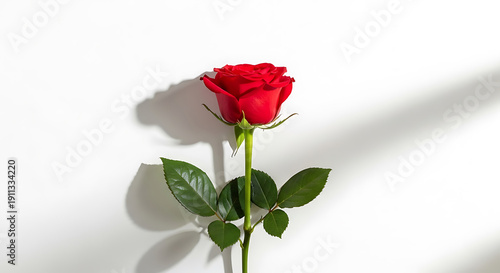 Luxury Valentine's Day Gift Box with Premium Red Roses and Golden Ribbon Bow Isolated on White Background for Romantic Celebration