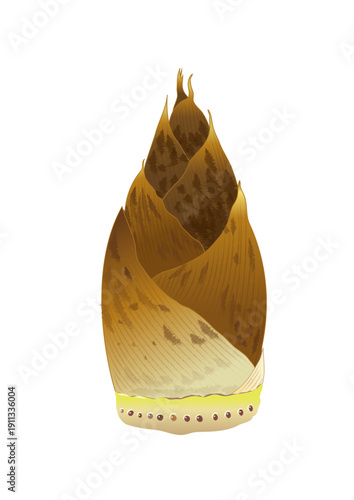 たけのこ イラスト ベクター