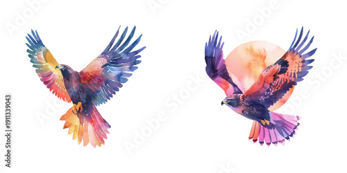 abstract color silhouette of flying hawk watercolor vector illustration