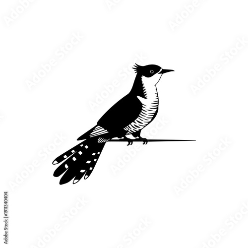 A black and white bird perched on a wire, viewed from the side, in a simple illustration style