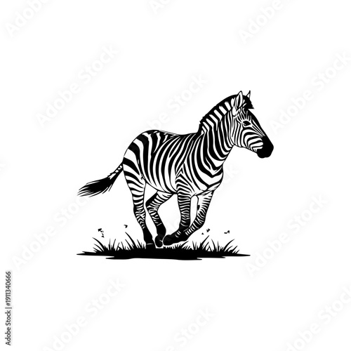 Zebra standing in grassy field illustration, wildlife scene, black and stripes, animal portrait, natural habitat