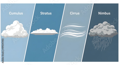 An illustrative visual guide categorizing diverse cloud formations, showcasing their distinct appearances and atmospheric characteristics, from fluffy cumulus to rain-bearing nimbus types