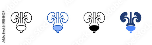 Urology  Solid color and black line drawing vector illustration set