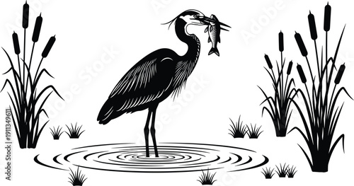 Heron bird catching fish in wetland marsh silhouette vector illustration isolated on white background wildlife nature scene design