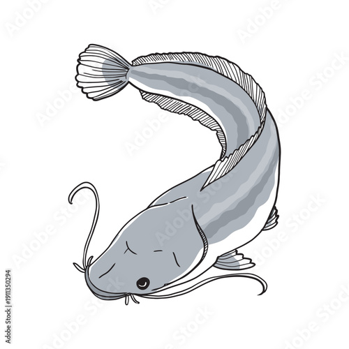 Elegant catfish illustration perfect for seafood or restaurant designs