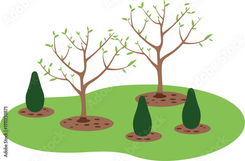 Young Tree Saplings Vector Set Reforestation and Park Illustration