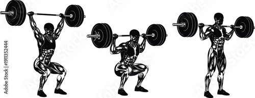 Professional weightlifting vector illustration set featuring detailed muscle anatomy of athletes performing heavy barbell squats and overhead presses on a white background.