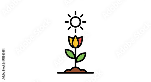 Vibrant tulip flower growing under sunny weather conditions outdoors