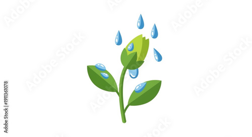Green plant with raindrops on leaves and stem isolated on white background