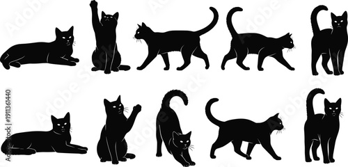 Black Cat Silhouette Set Showing Different Poses And Movements Isolated On White Background
