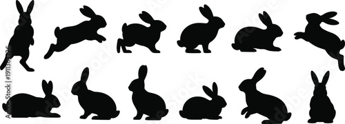 Rabbit silhouette set showing jumping running sitting poses, black bunny animal shapes isolated on white background for design