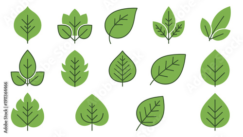 Collection of various green leaf shapes.