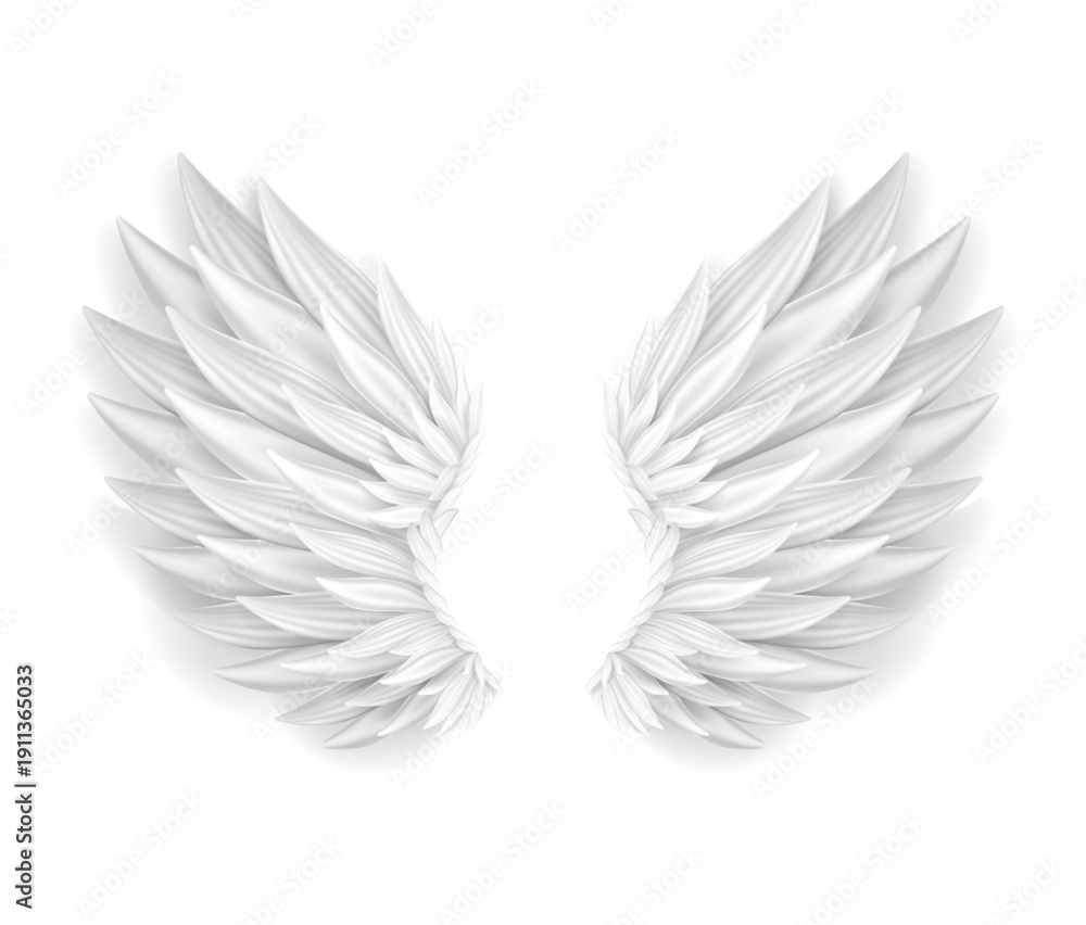 Fototapeta premium Angle Wing