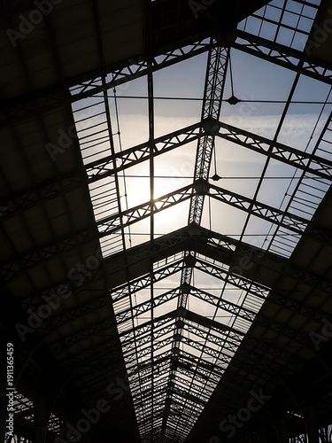 Silhouetted steel structure roof captures the interplay of light and shadows