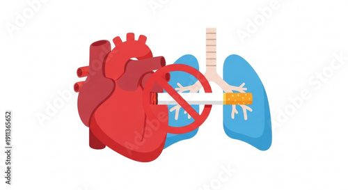 No smoking heart and lung health awareness illustration