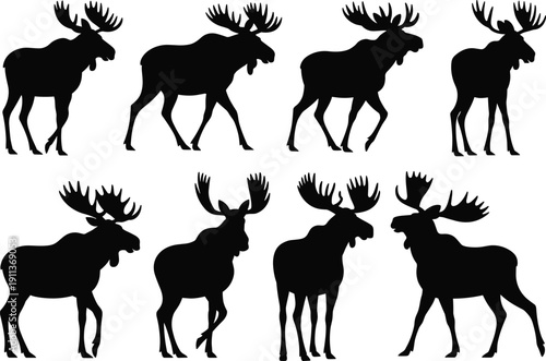 Moose silhouette set, wild deer poses collection, black antler mammals, forest wildlife animals icons isolated white background