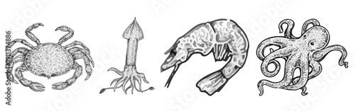 Seafood vector illustration featuring crab, squid, shrimp, and octopus. Vintage style black and white illustration, isolated on a white background.