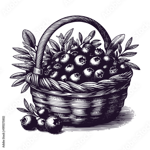black currant in a basket