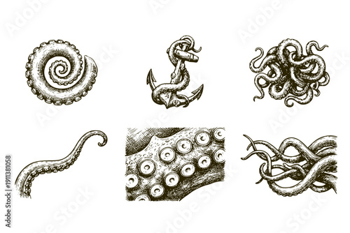 Octopus Tentacles Engraving Set of 6 Black and White Vintage Isolated Sketches