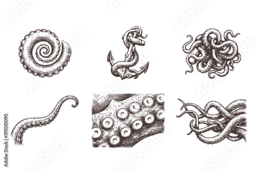 Octopus Tentacles Engraving Set of 6 Black and White Vintage Isolated Sketches